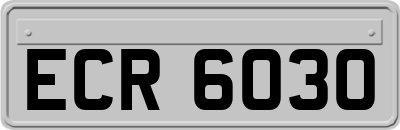 ECR6030