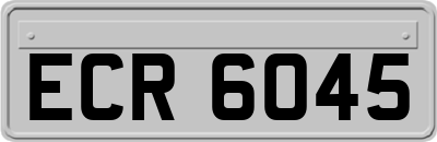 ECR6045