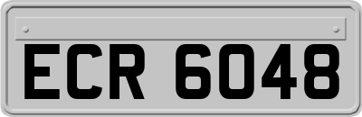 ECR6048