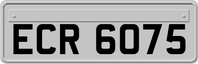 ECR6075