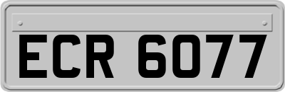 ECR6077