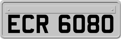 ECR6080