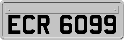 ECR6099