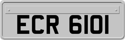 ECR6101