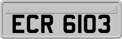 ECR6103