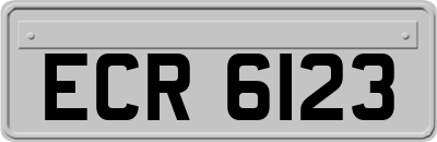 ECR6123