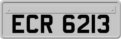 ECR6213