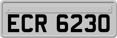 ECR6230