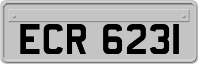 ECR6231