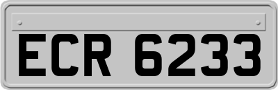 ECR6233