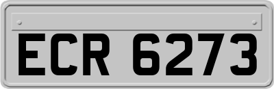 ECR6273