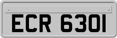 ECR6301
