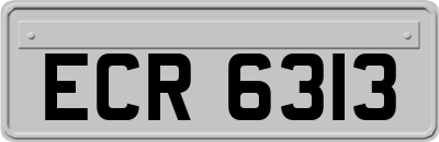 ECR6313
