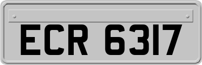 ECR6317