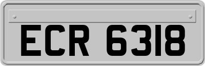 ECR6318