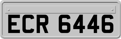 ECR6446