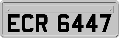 ECR6447