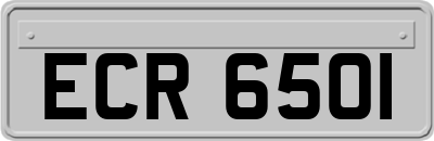 ECR6501