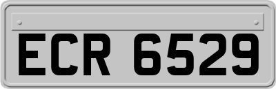 ECR6529