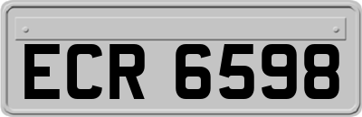 ECR6598