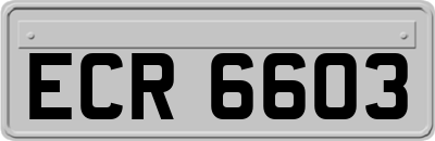 ECR6603