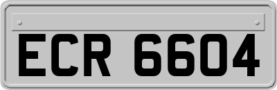 ECR6604