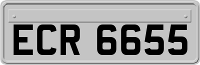ECR6655