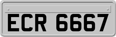ECR6667