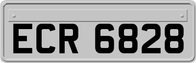 ECR6828