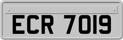 ECR7019