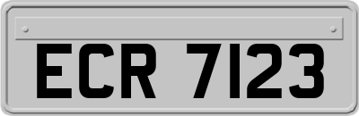ECR7123