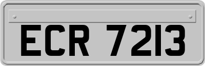 ECR7213