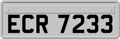 ECR7233