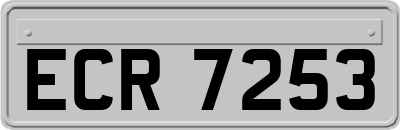 ECR7253