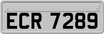 ECR7289