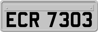 ECR7303