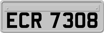 ECR7308