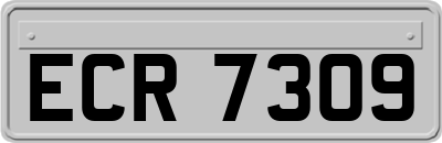 ECR7309