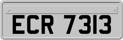 ECR7313