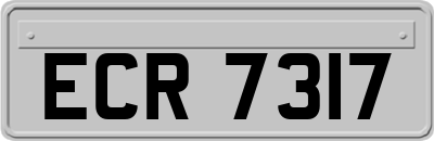 ECR7317