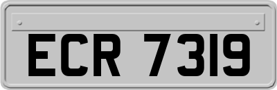 ECR7319
