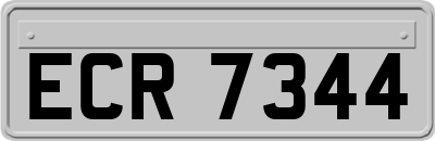 ECR7344