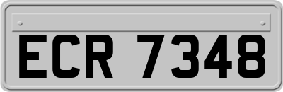 ECR7348