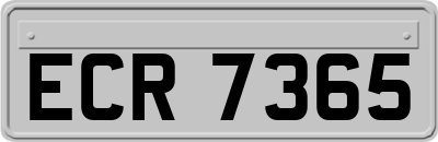 ECR7365
