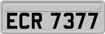 ECR7377