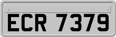 ECR7379