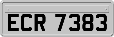 ECR7383