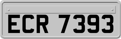 ECR7393