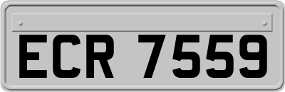 ECR7559