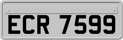 ECR7599